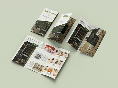 Organic Shop Brochure (Brochure Design Project) app branding design graphic design illustration logo typography ui ux vector