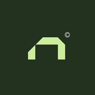 NEVARA brand design branding design graphic design logo logo design mockup