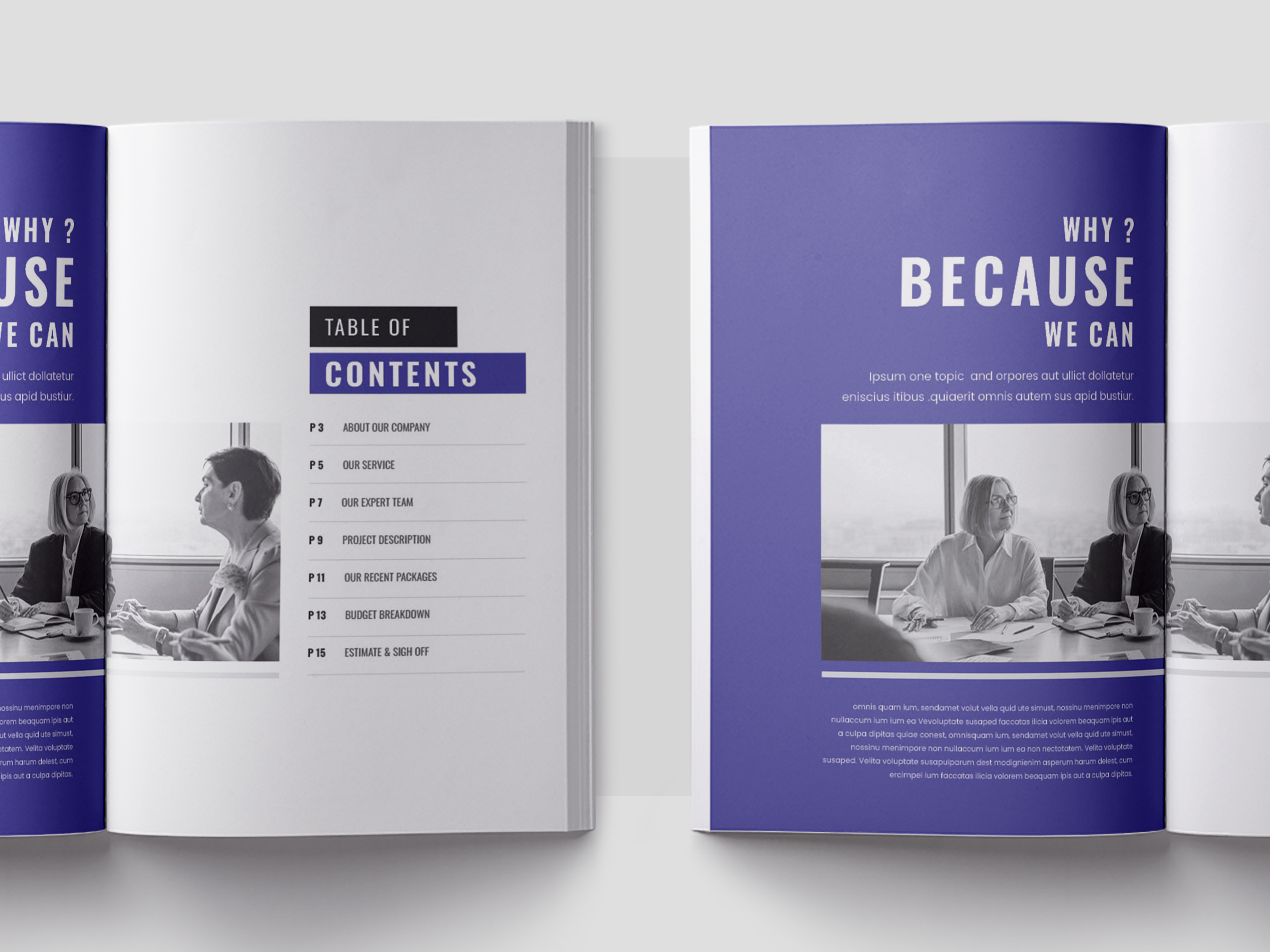 Example of Professional Book Layout Brochure Design