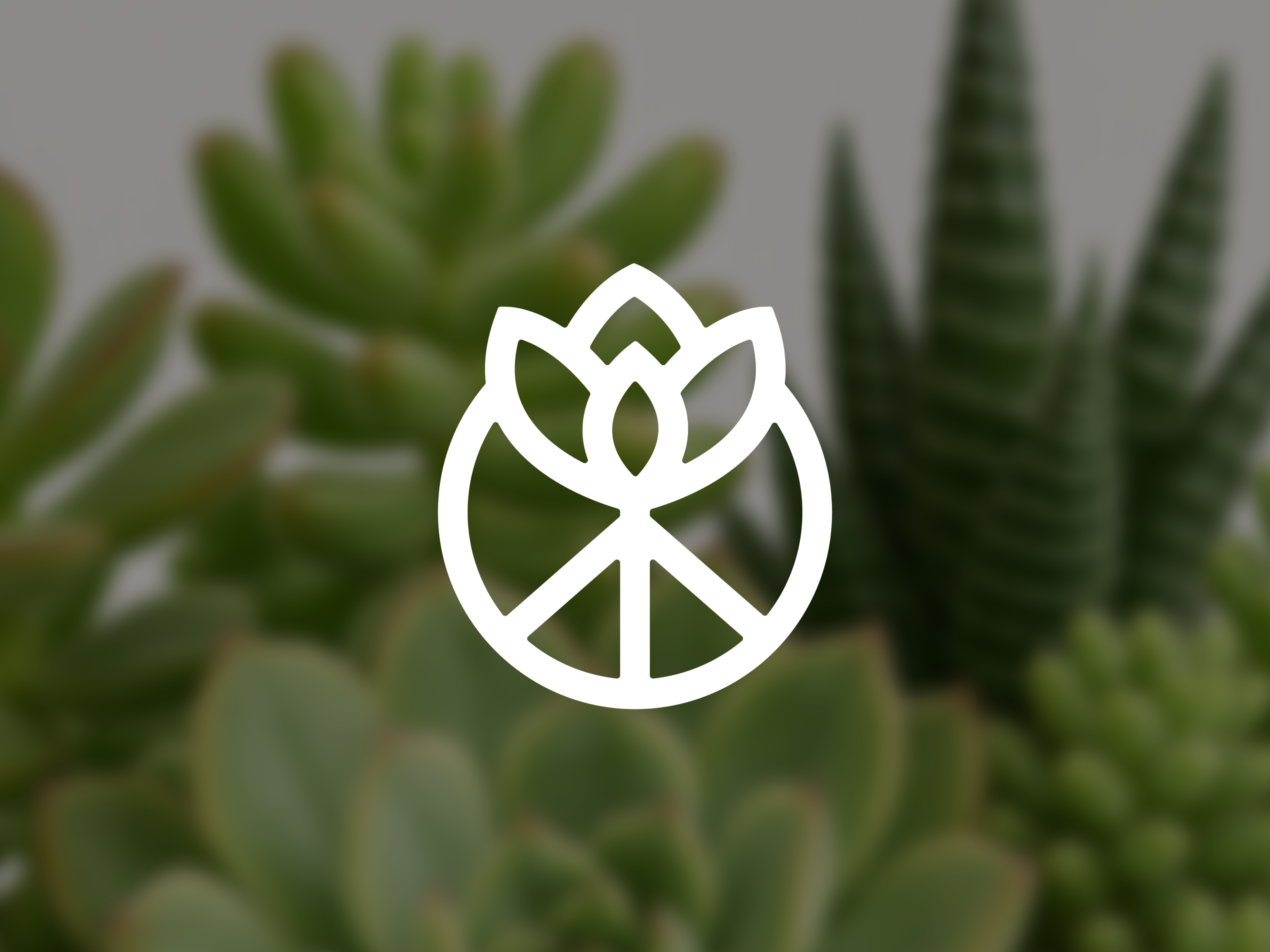 Rooted in ☮️ cactus design green icon iconmark logo peace plants