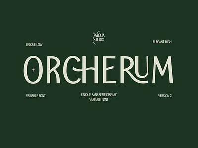 TBJ Orcherum Unique Sans Display | Updated botanical branding canva font design flyer font design free font graphic design illustration ligatures font logo poster sans serif stationary taboja studio typeface typography unique font variable font web