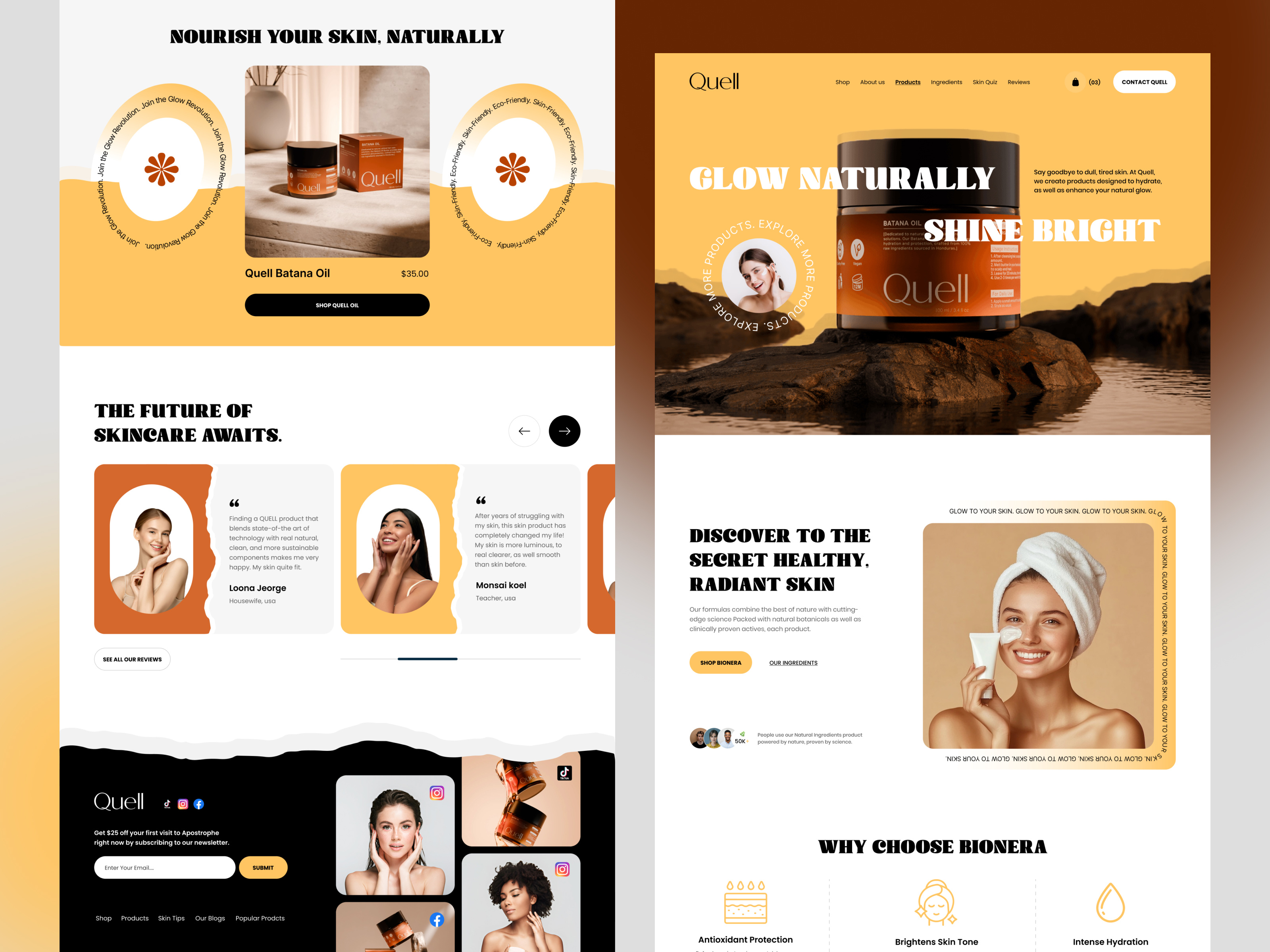 Example of Ecommerce Website Design (10 Pages)