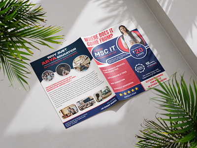 Education Brochure Design🎓🏫 brochureconcepts brochuredesigner brochurelayout brochures educationbrochures