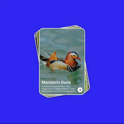Web Card UI animation blur cards figma ui web design
