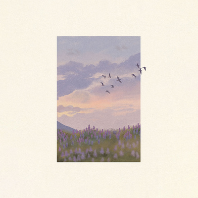 Lavender Fields article illustration birds blog illustration digital illustration flower illustration flowers illustration lavender nature nature illustration procreate sunset sunset art