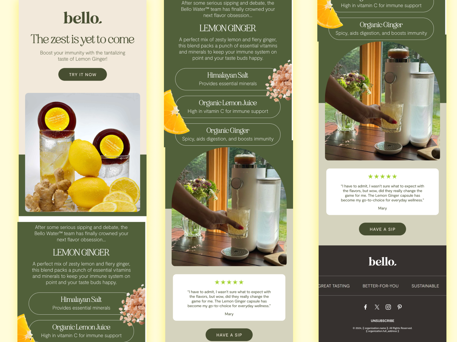 Example of Email Design For Klaviyo & Shopify