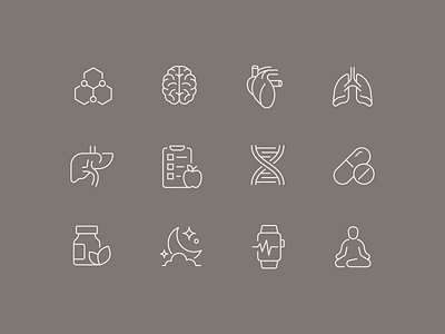 Longevity Icons biomarker brain dna exercise genetics health healthspan heart icon iconography liver logo logomark lungs medication meditation nutrition sleep supplement wellness