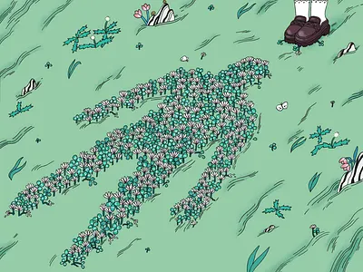 Perennial illustration