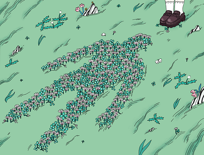 Perennial illustration