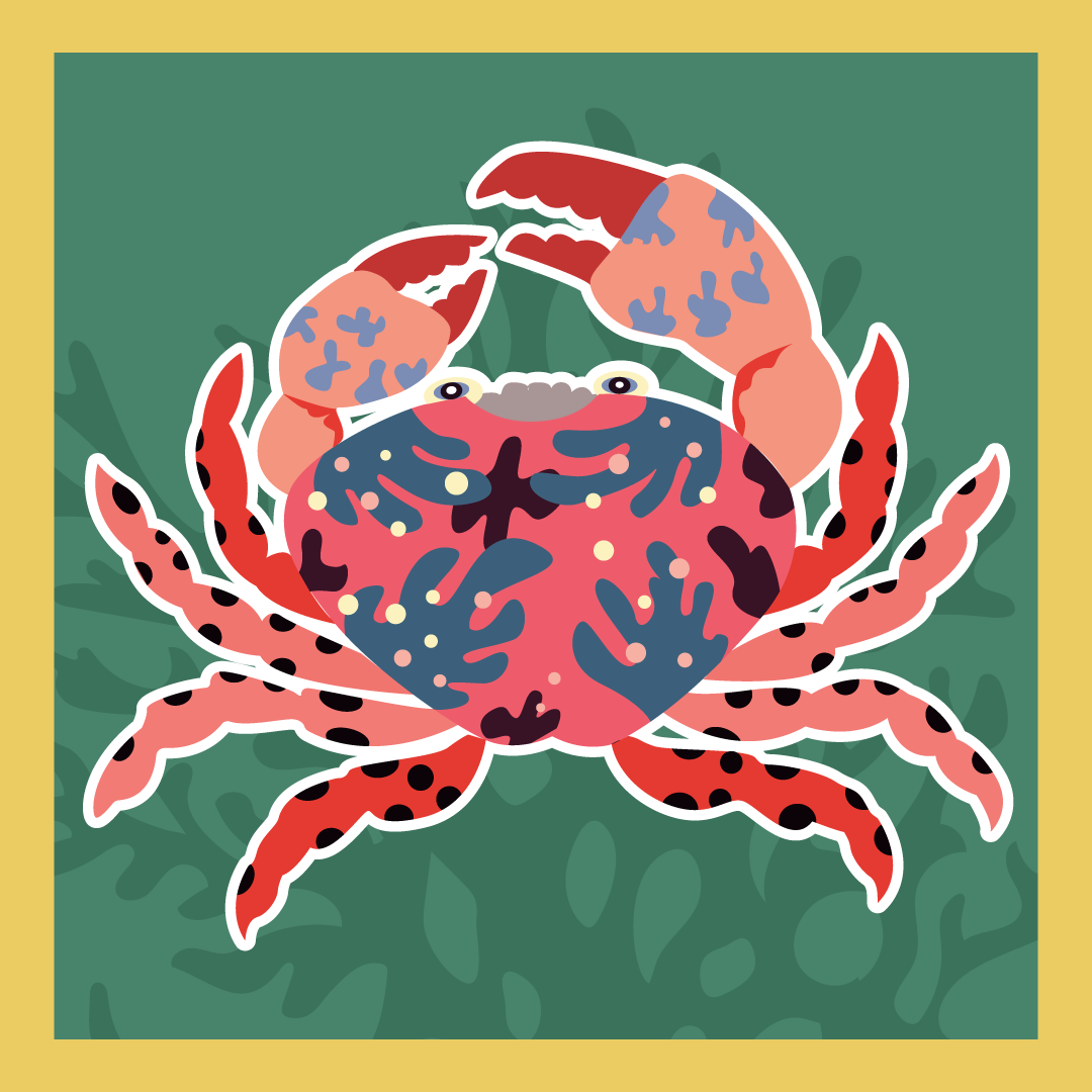 Underwater creatures art design flat illustration illustration art poster vector