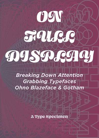 Type Specimen Sample