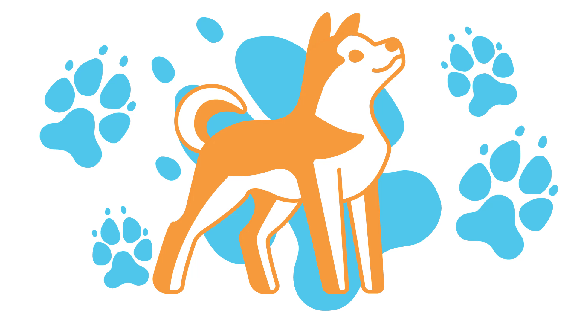 hachigo
