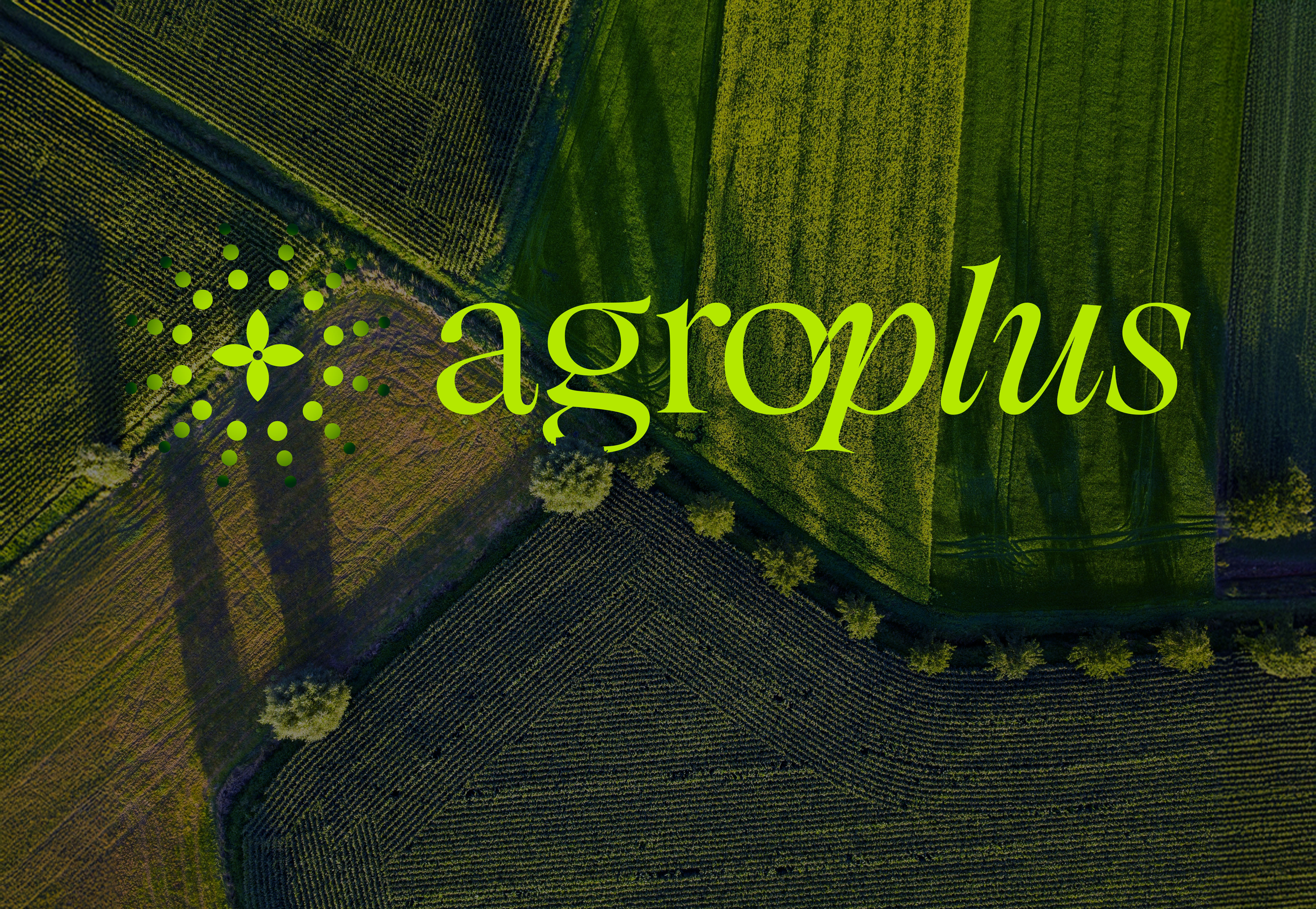 Agroplus | Visual Identity agriculture brand identity branding farming logo logo design science soil