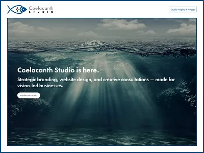 Coelacanth Studio is here. branddesign branding coelacanthstudio graphicdesign logodesign lowcodedevelopment studiolaunch websitedesign