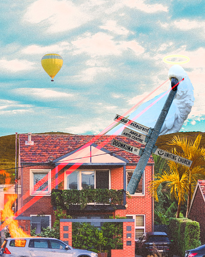 Attack of Cockatoos affiche graphic graphic design photoshop