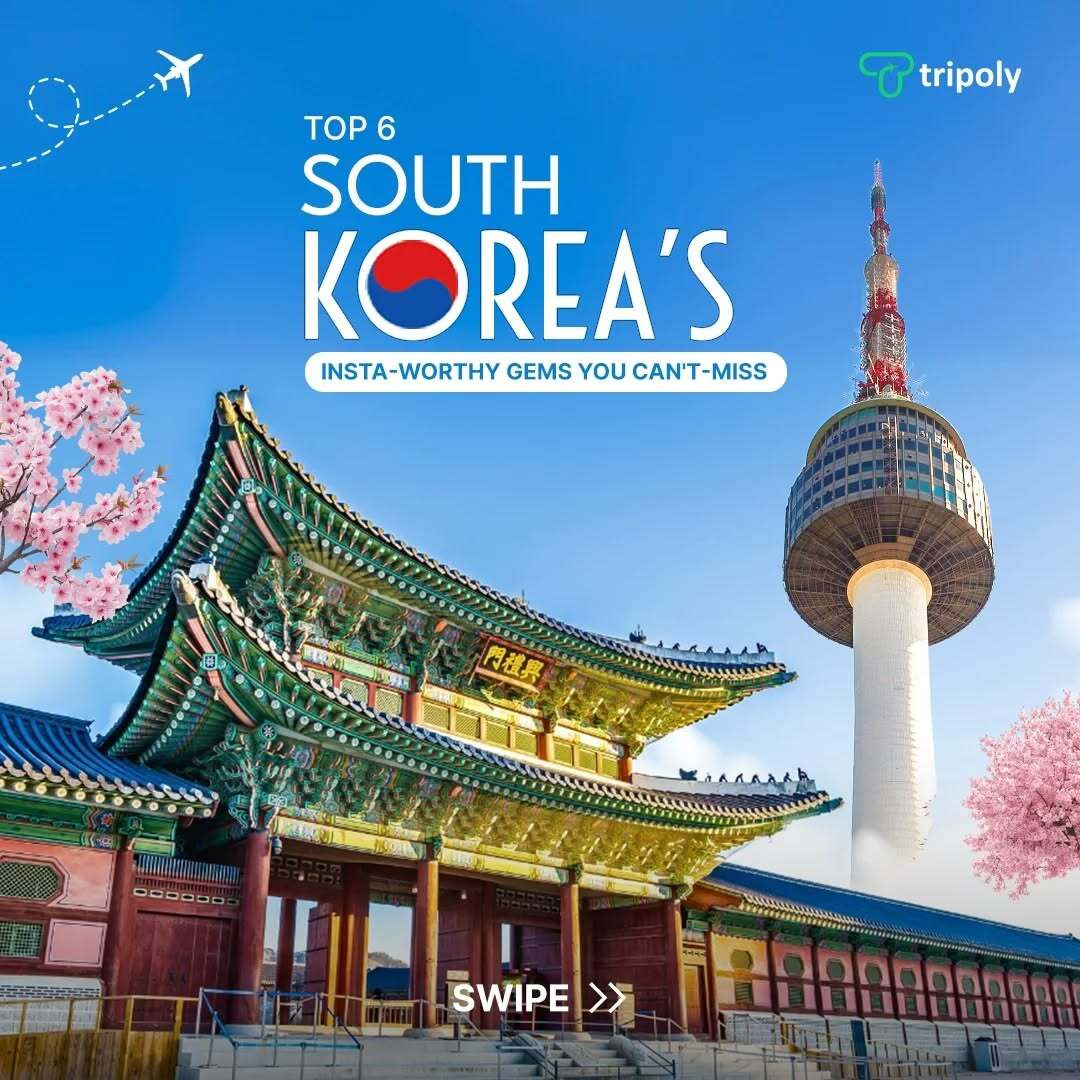 South Korea Social media carousal branding design graphic design marketing visual