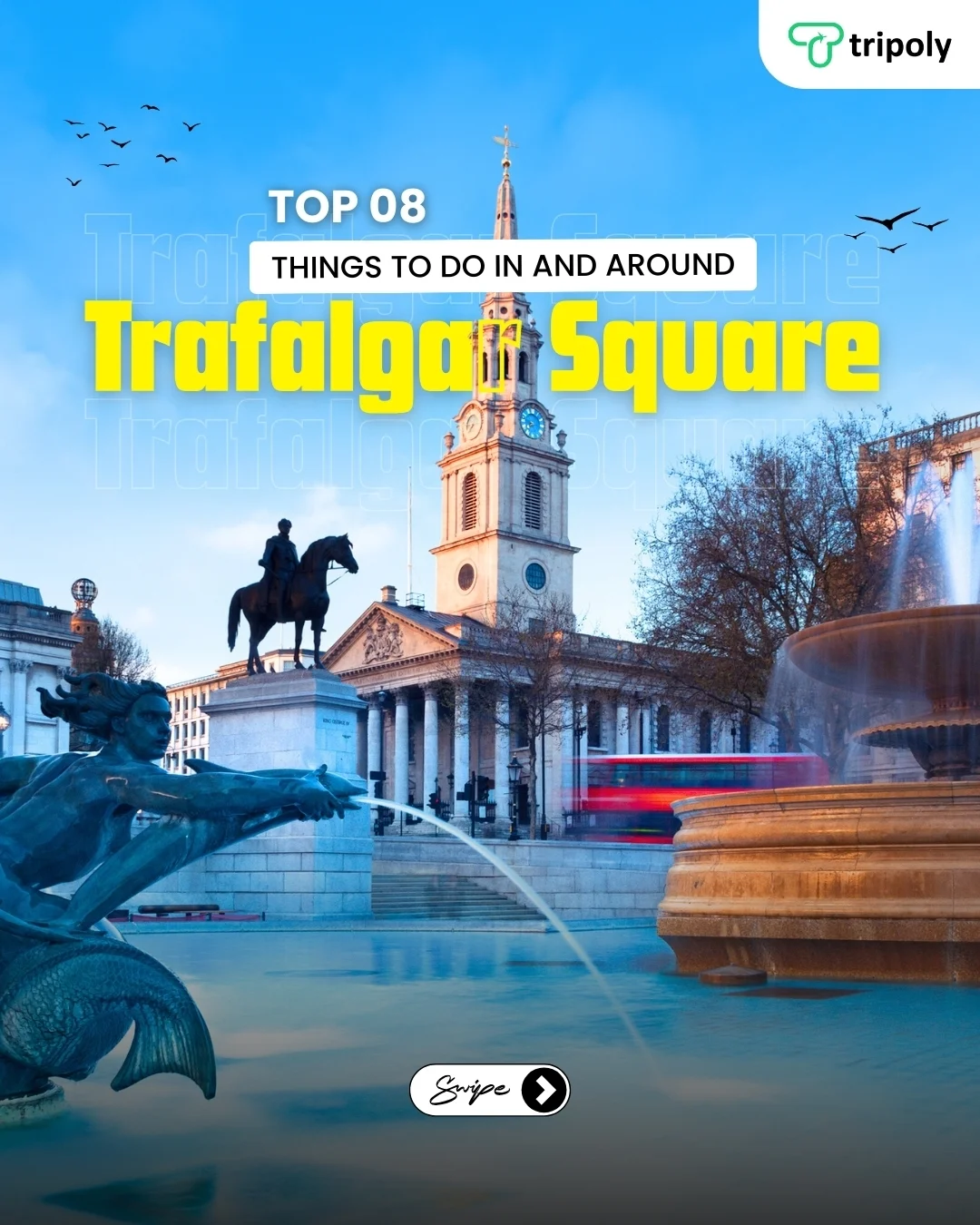 Trafalgar Square Social Media Carousal branding design graphic design marketing visual