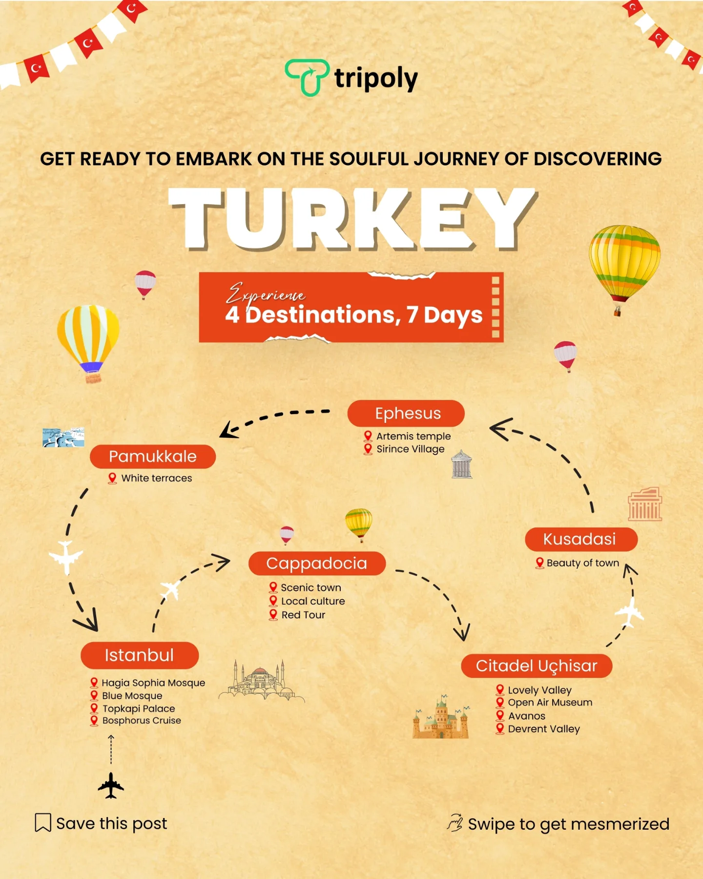 Turkey Social Media Carousal branding design graphic design illustration marketing vector visual