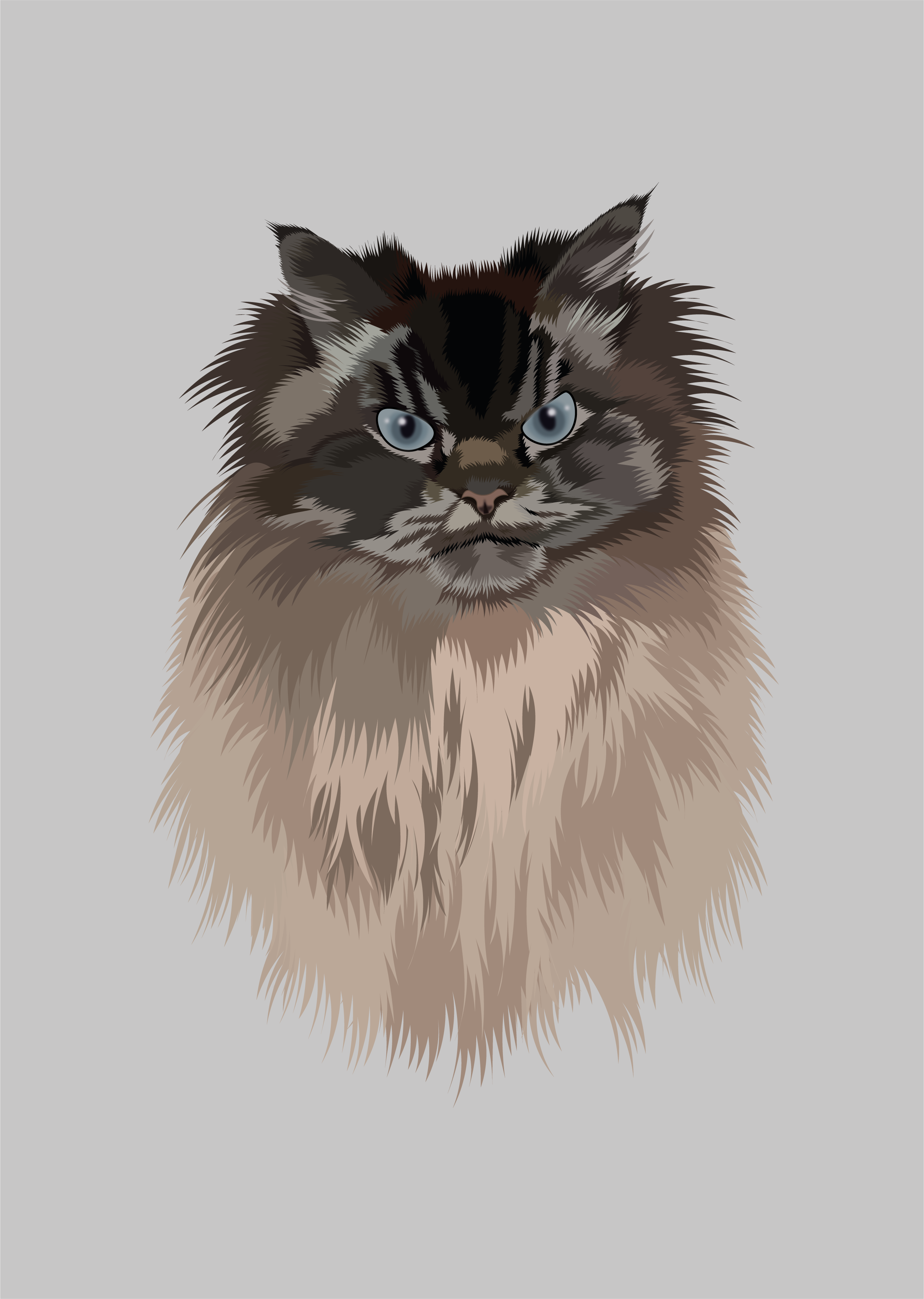 Merlin animalillustration catdrawing catillustration cuteanimals digitalart dribbblecats felinedesign fluffycat furryfriend illustrationart minimalvector petlovers petportrait realisticillustration stylizedart vectorart vectorcat