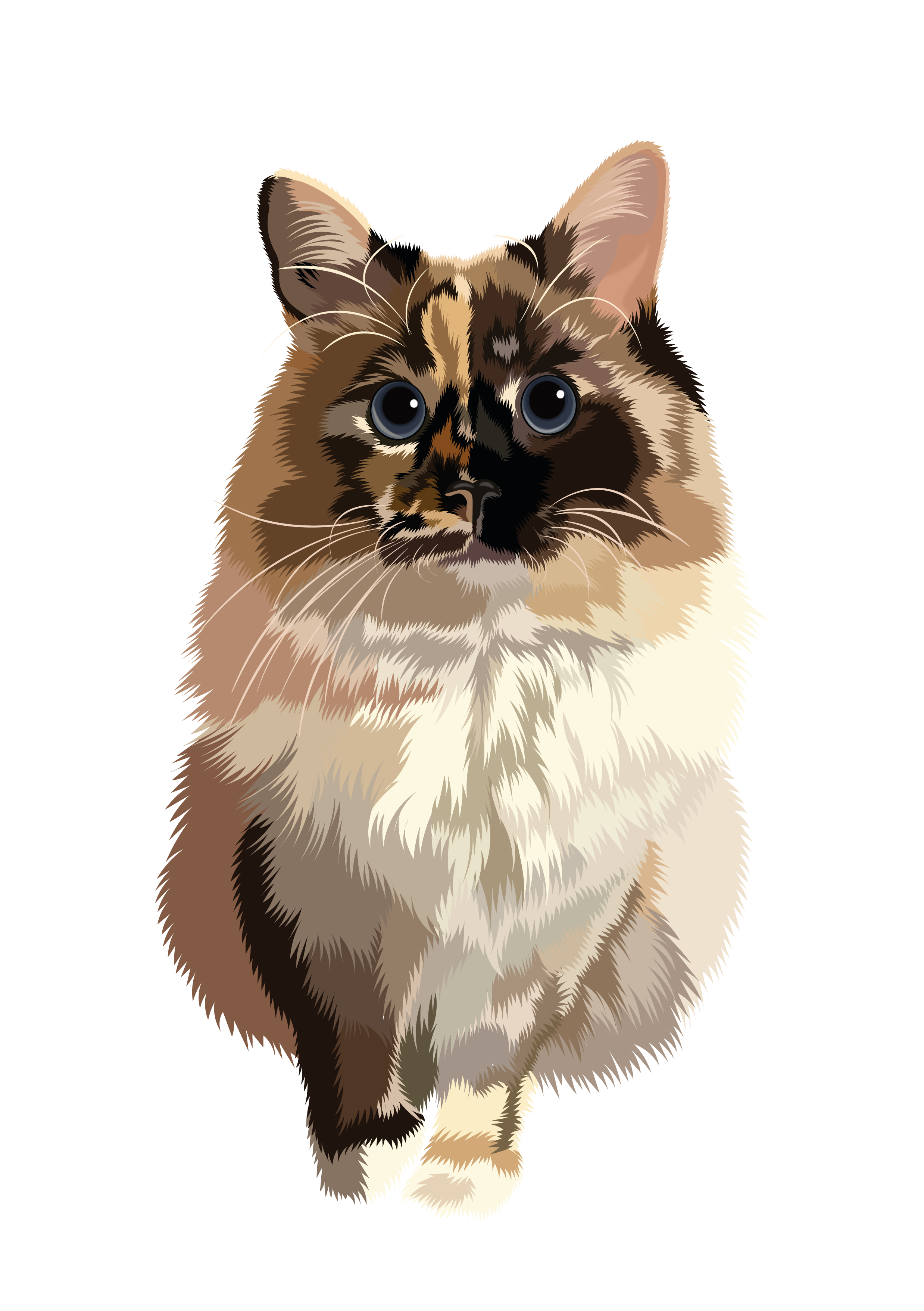 chimera animalvector catdesign catportrait chimeraanimal chimeracat creativecats cutecat digitalpetart fluffycat furryart petillustration stylizedcat vectordrawing vectorillustration