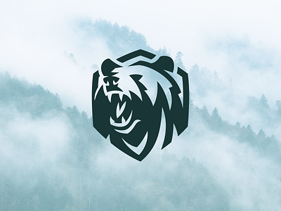 Roaring Bear aggressive animal logo badge bear logo brown bear charging bear crossfit emblem fitness grizzly bear gym logo logo design roaring bear shield sports wild animal