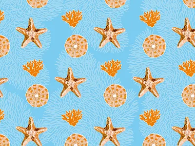 Sea Oranges beach blue coral fish graphic design illustration island leaf pattern sea sea urchin shell star test textile vector