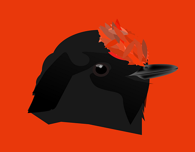 time stops bird bold bird doodle illustration shunte88 vector