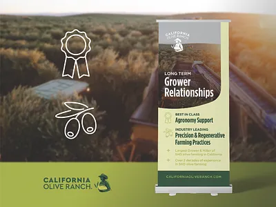 Banner Design for Olive Oil Brand banner cpg display event food olive oil pop up print retail