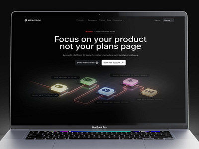 Schematic Website Design animation caviar graphic design motion graphics schematic ui ux