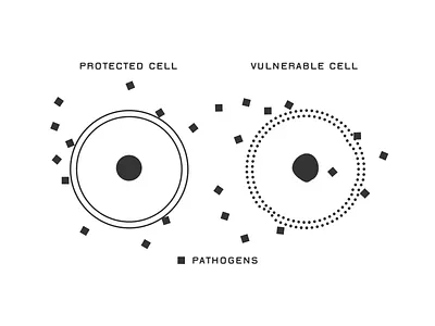 More animations :) after effects animation branding design gif graphic design illustration loop motion motion graphics ui