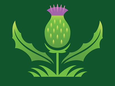 Thistle digital dream garden floral flower garden illustration thistle vector weekly warm up