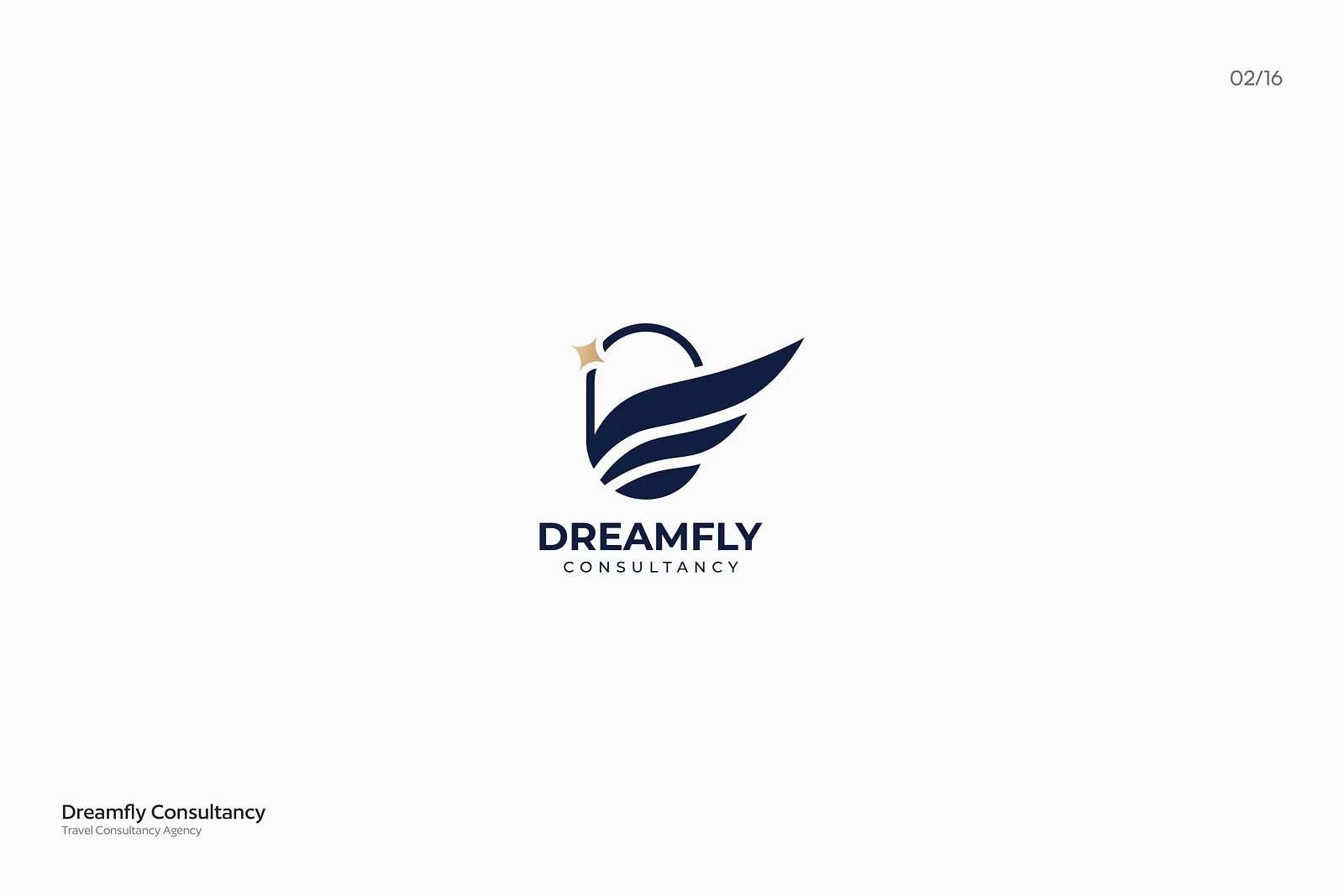 DreamFly Brand Identity 3d branding design graphic design illustration logo mockup ui ux vector