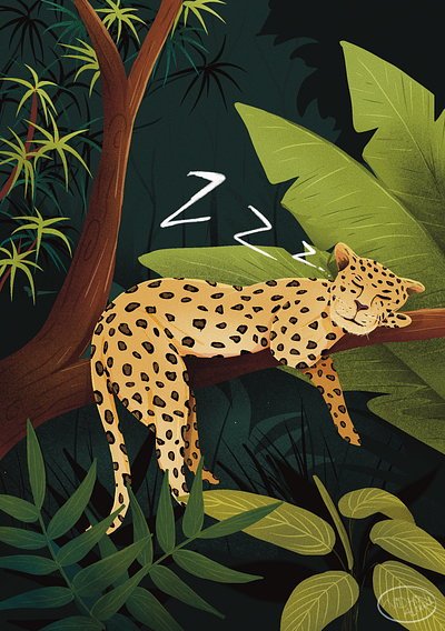Sleeping Beauty Leopard Illustration animal illustration design illustration leopard procreate
