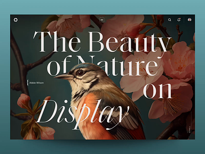 Photography Exhibition landing page (concept) animation concept design exploration interface principle ui ux