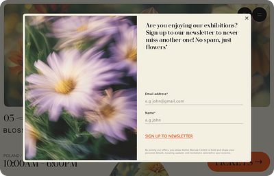 Art Gallery • Pop-Up art email flower form gallery graphic design modal museum newsletter orange pop up prague sign up ui ux