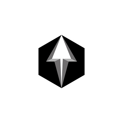Arrowhead logo inside black hexagon 3d logo arrow icon arrow logo arrowhead logo emblem futuristic arrow growth and direction hexagon logo hexagonal branding innovation branding symbol isometric logo logo design minimal logomark navigation logo startup logo upward pointing logo