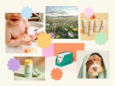 Chance Of Sunny Moodboard color design graphic design moodboard