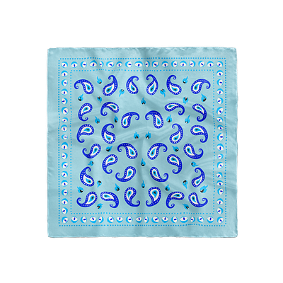 No Nazr Plz: Paisleys digital illustration