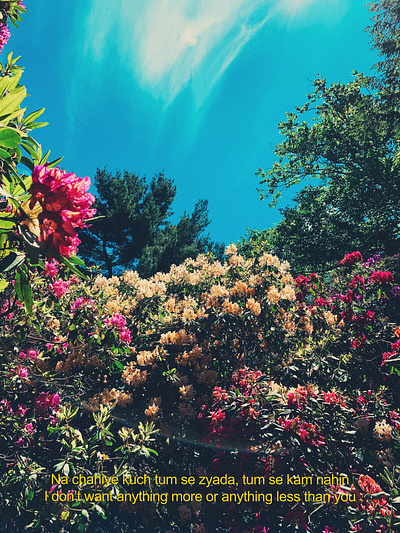 A Walk in the Garden photo editing photography