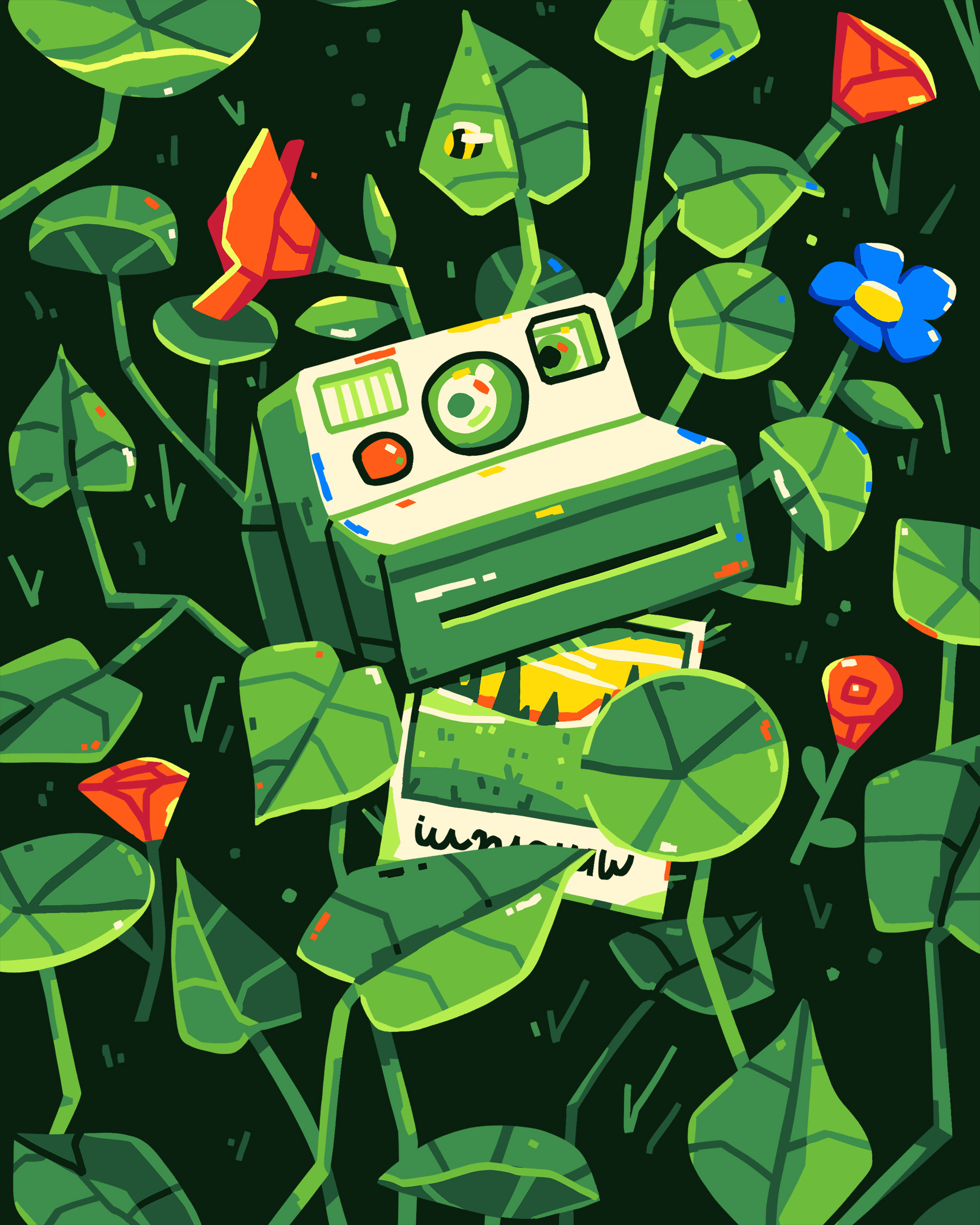 Shot art camera flower illustration nature photo plants polaroid shot