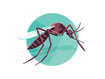 Bugs Be Gone! (CAA Magazine) illustration insect mosquito