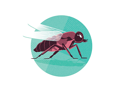 Bugs Be Gone! (CAA Magazine) flies fly illustration