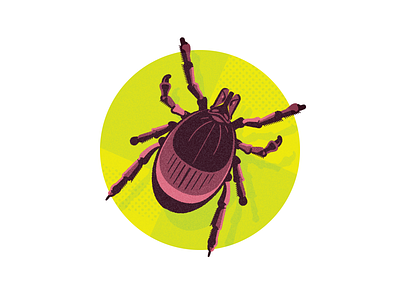 Bugs Be Gone! (CAA Magazine) bug illustration insect stick