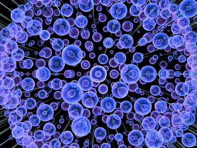 Blossom | 3D animation 3d 3d design animation blender cg cgi motion motion graphics