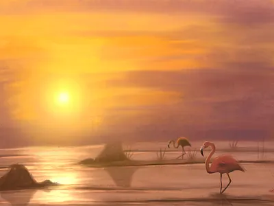 Flamingos Twilight art artwork beauty designs digital art drawing flamingo illustration lake landscape painting twilight twilight illustration view