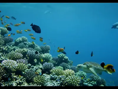 Create Video AI ai neurodesign video ai