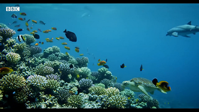 Create Video AI ai neurodesign video ai