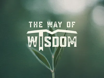 The Way of Wisdom Sermon Series Design book logo bookmark logo church logo logo design sermon graphic sermon logo sermon series wisdom graphic wisdom logo