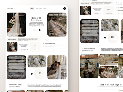Website - Wedding Event Planning Service 3d agency animation branding clean design coordination event planer events graphic design illustration landing page motion graphics organizer sarvices ui ui ux ux web design website wedding