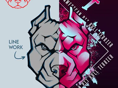 A.P.B.T Sketch to Final dog illustration pitbull